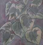 Ivy leaves